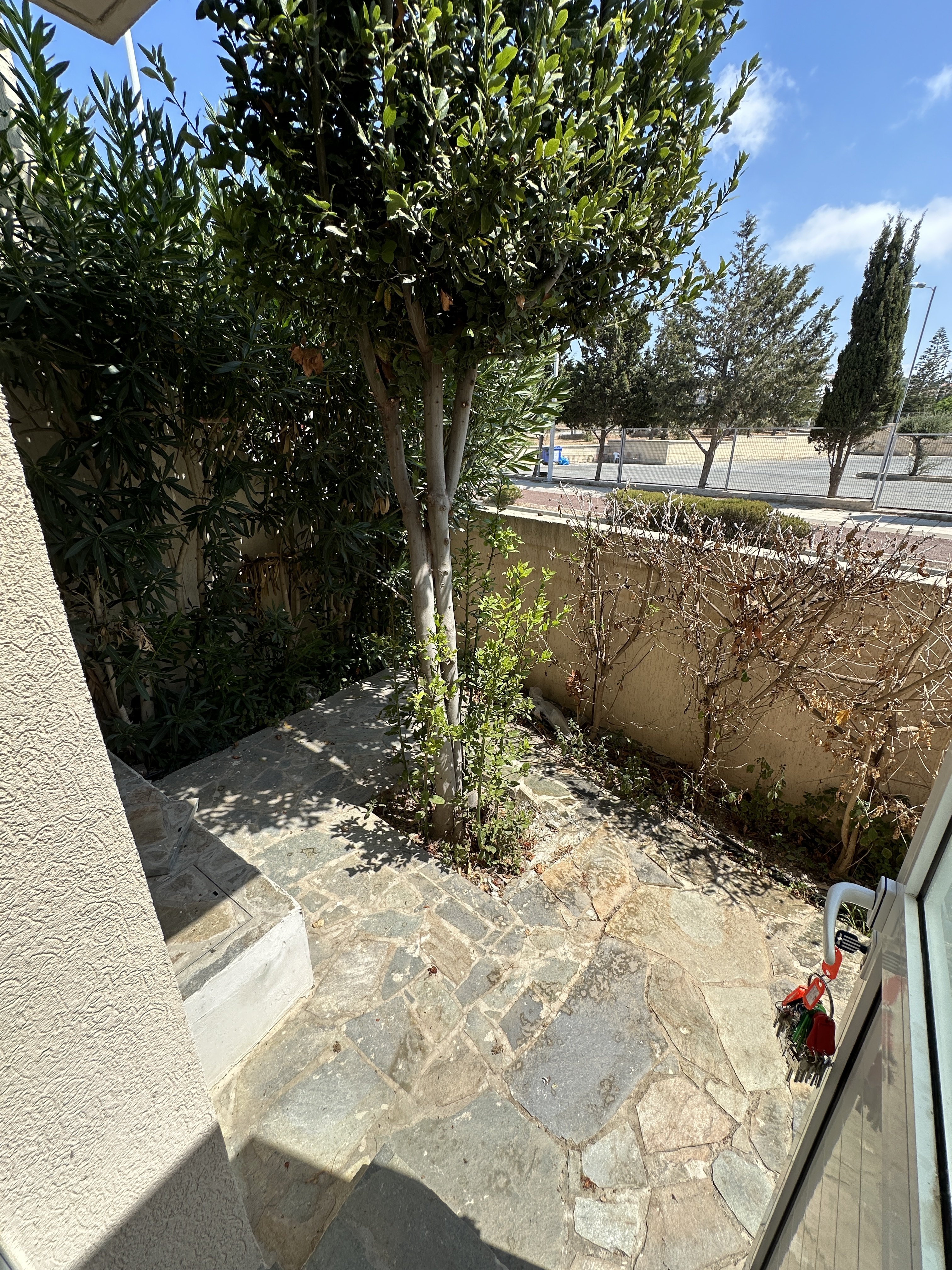 House in Pegeia - Image 5