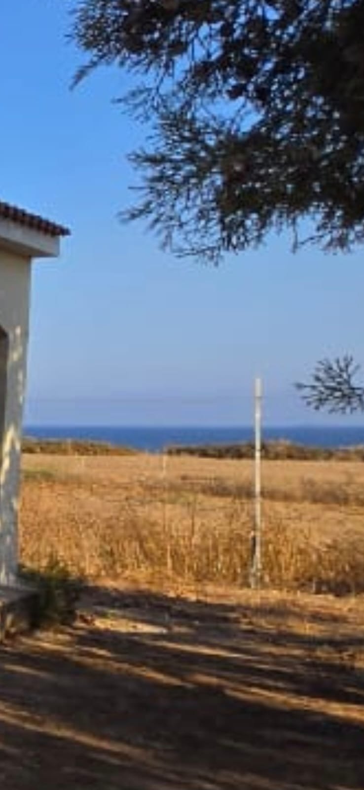 House in Agios Theodoros - view 1
