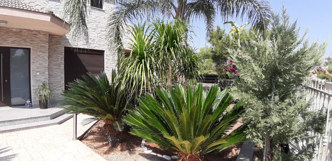 House in Sotira Lemesou - view 1